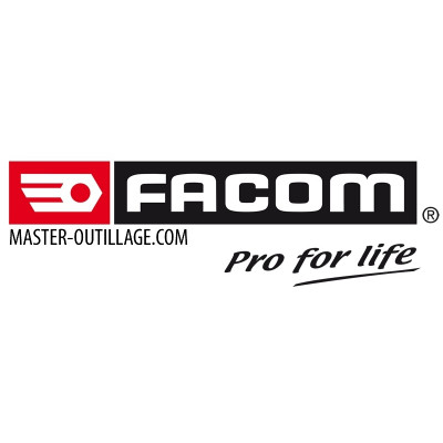 Module chasses goupilles et pointeau gainés Facom - Matériel de Pro