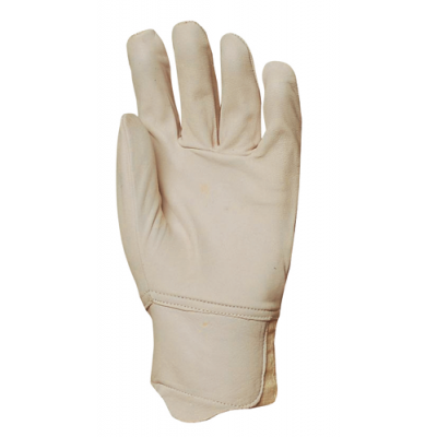 Gants de maîtrise tout fleur chèvre, poignet élastique, protège artère - Eurotechnique