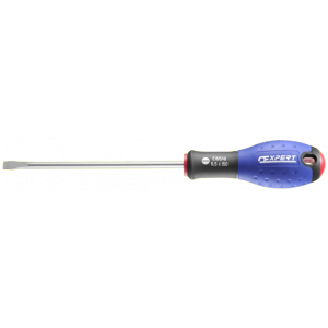E165482 Expert Tournevis pour vis fente Mécanicien
