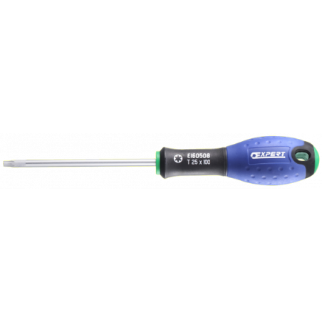 E160502 Expert Tournevis Torx®