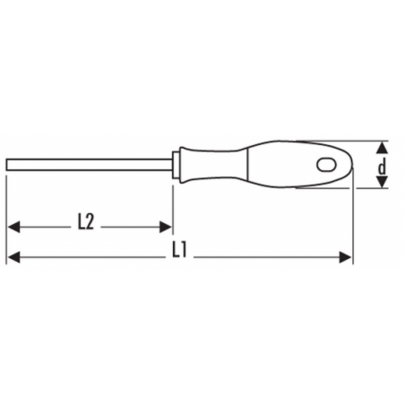 E160502 Expert Tournevis Torx®
