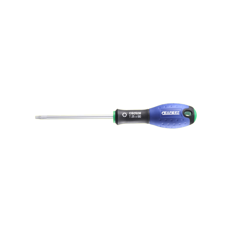 E160504 Expert Tournevis Torx®