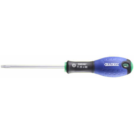E165340 Expert Tournevis Resistorx®