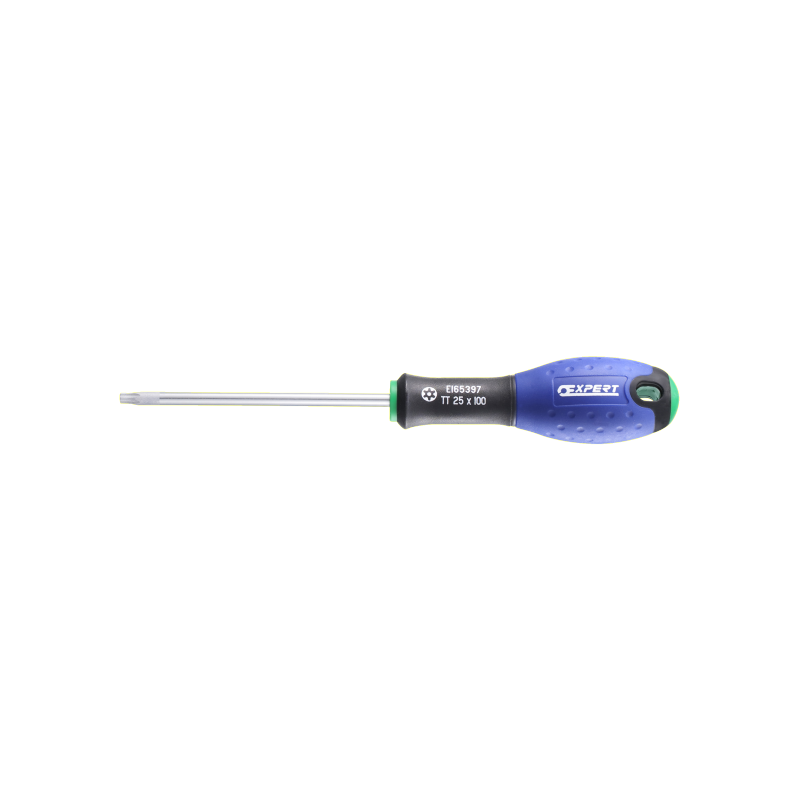 E165396 Expert Tournevis Resistorx®