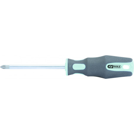 Tournevis INOX POZIDRIV, PZ2 - L. 100 mm KSTools | 153.1041