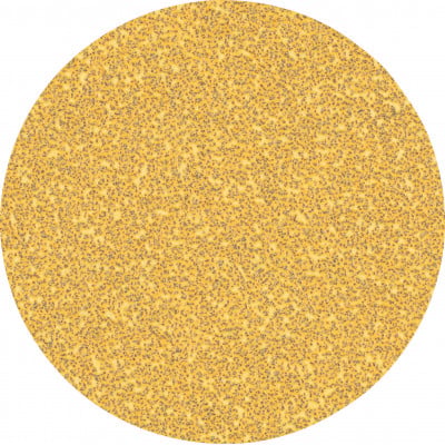 50 disques abrasifs bois et peinture C470 EXPERT 125mm G40 - BOSCH | 2 608 900 951