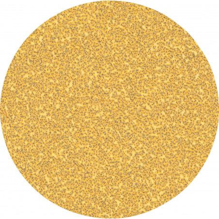 50 disques abrasifs bois et peinture C470 EXPERT 125mm G40 - BOSCH | 2 608 900 951