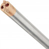 Foret Aspirant SDSPlus Diamètre 16mm Longueur 250mm - Dewalt | DT60342