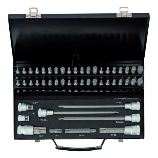 RAMTOOLS Lot de 107 douilles à embouts hexagonaux 1/4, 3/8 et 1/2 Torx/Extra long/Inviolable Torx/Hex/Bille Embouts métriques S2 en acier