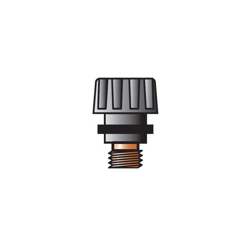 BOUCHON COURT (41V33) TIG 9/20 - GISS | 865794