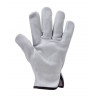Gants maîtrise EUROSTRONG 2220 tout fleur vachette ecru *CAR* - COVERGUARD | MOP2220