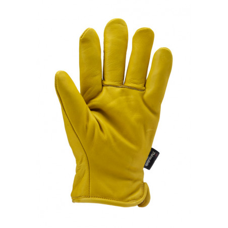 Gants EUROWINTER ALASKA fleur vachette doublé Thinsulate(R) - COVERGUARD | MO2480