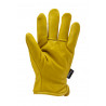 Gants EUROWINTER ALASKA fleur vachette doublé Thinsulate(R) - COVERGUARD | MO2480
