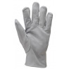 Gants maîtrise EUROSTRONG 850, fleur de caprin, jersey écru - COVERGUARD | 1DRI850