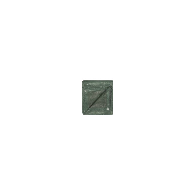 Bache de protection 4M x 6M Gamme medium 80gr/m2 18304 SODISE