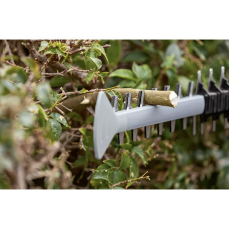 Taille-haies GHE 18V-50 - Produit seul - BOSCH | 06008C9500