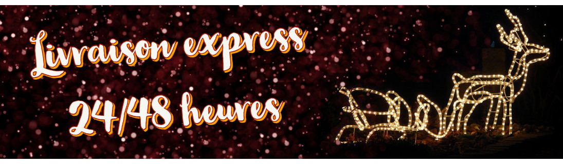 Livraison express pour Noël : nos idées